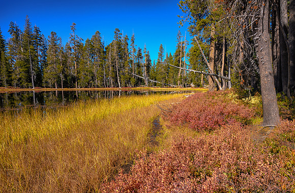 Siesta Lake