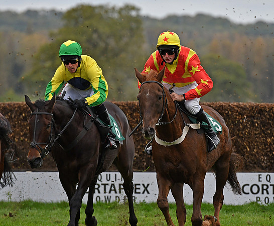 Harry Skelton on Gibson Park (left) with M Goldstein on The Society Man