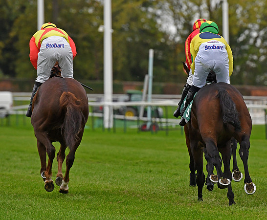Harry Skelton on Gibson Park (right) with M Goldstein on The Society Man