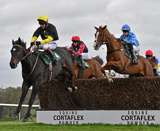 R Johnson on Copperfacejack  in front at Towcester