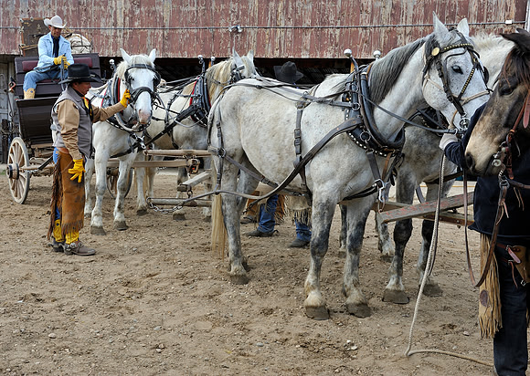 horse-ranch-sombrero-061