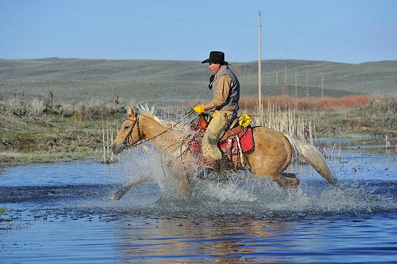horse-ranch-sombrero-026
