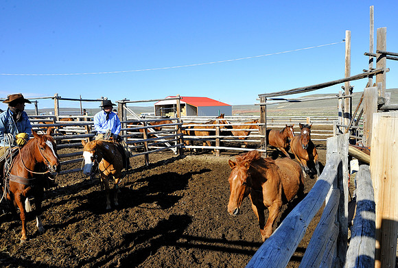 horse-ranch-sombrero-032