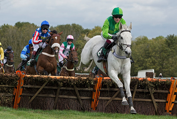 David Noonan on Sprogzilla clears the fence