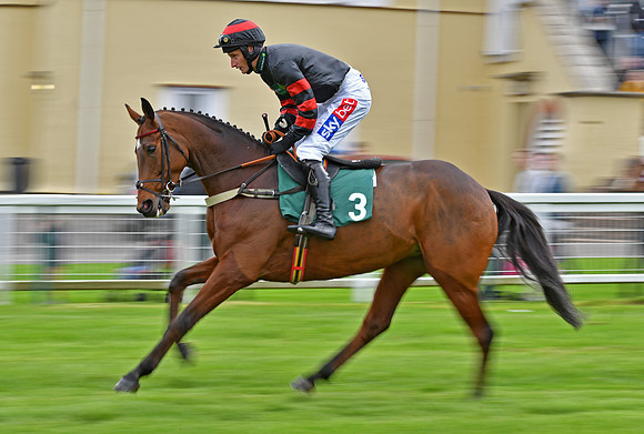 D A Jacob on Raven's Tower canters to the start