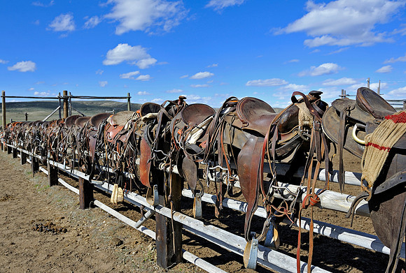 horse-ranch-sombrero-124