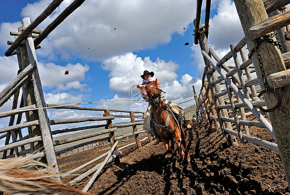 horse-ranch-sombrero-040