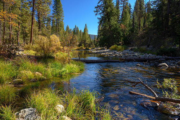 South fork of Merced River, Wawona