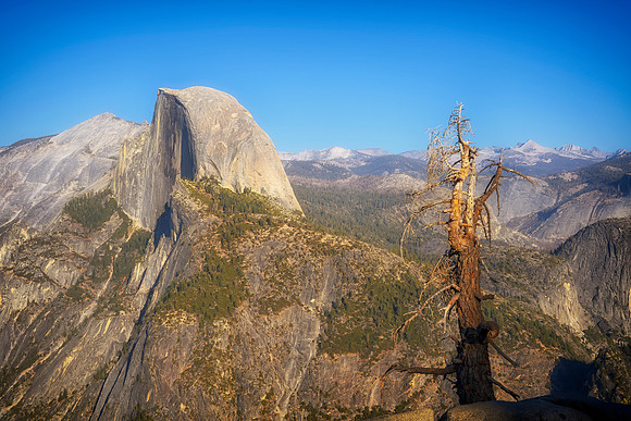 Half Dome from Glacier Point