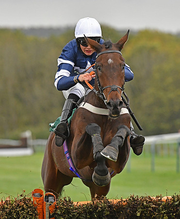 Daniel Sansom on Plantagenet takes the fence at Towcester
