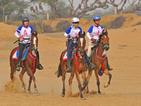 81 Km Endurance Horse Race - Fort Dundlod, Rajasthan, India