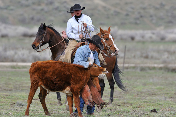 horse-ranch-sombrero-102