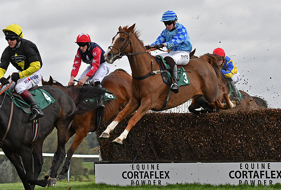 Miss K Lyons (3) on U Me and Them strides the fence at Towcester