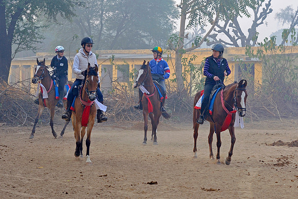 81 Km Endurance Event Stables