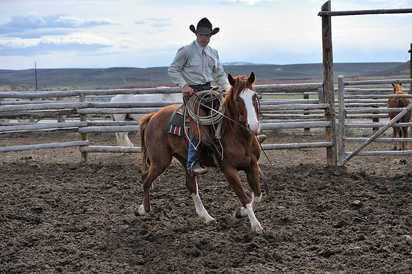 horse-ranch-sombrero-113