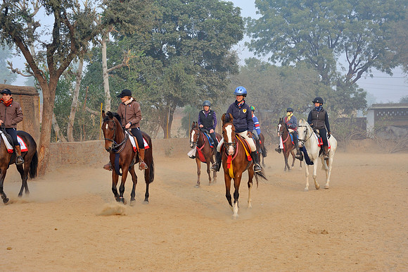 81 Km Endurance Event Stables