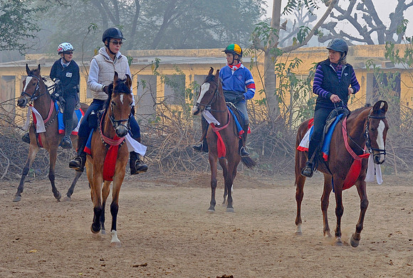 81 Km Endurance Event Stables