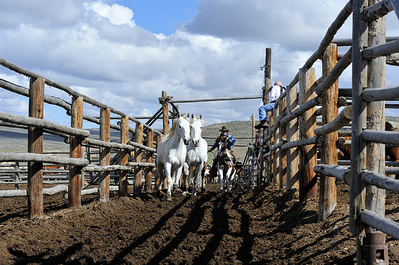 horse-ranch-sombrero-039