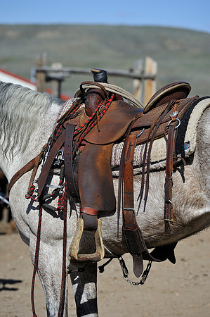 horse-ranch-sombrero-033