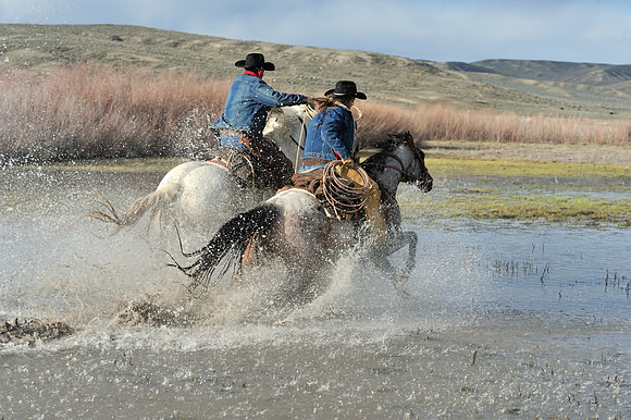 horse-ranch-sombrero-068