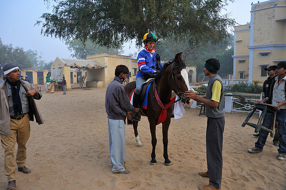 81 Km Endurance Event Stables