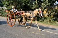 India Travel Photography