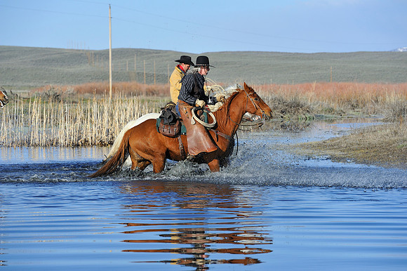 horse-ranch-sombrero-020