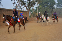 Roop Niwas Stables, Rajasthan, India