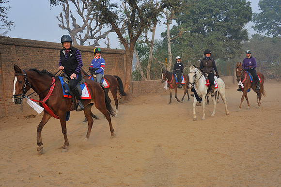81 Km Endurance Event Stables